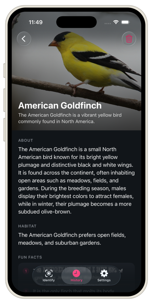 Bird identification