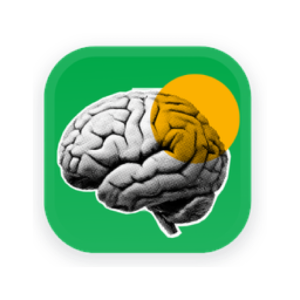 braindump.work