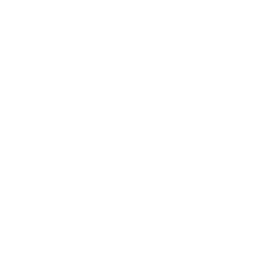 Codex