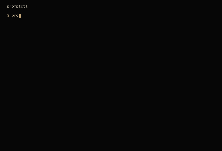promptctl terminal demo