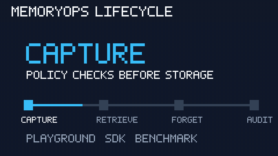 MemoryOps lifecycle demo