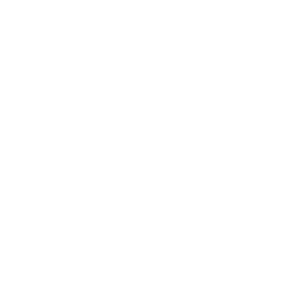 NewsBang logo