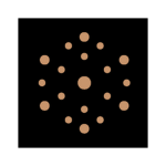 Vessel Browser logo