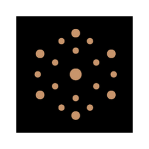 Vessel Browser logo