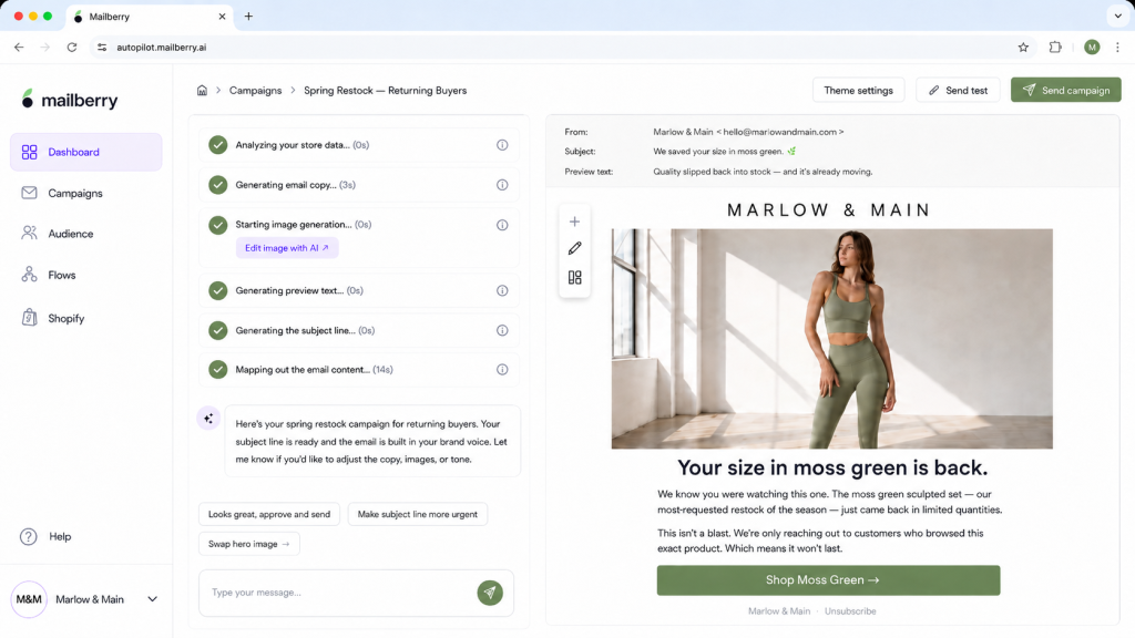 Mailberry chat-driven campaign creation.