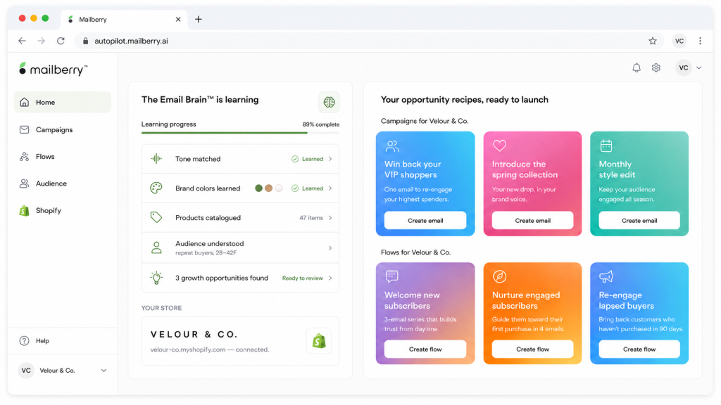 Mailberry Email Brain dashboard.
