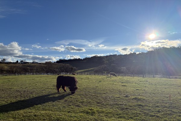 Burradoo Park Farm, Bowral NSW
