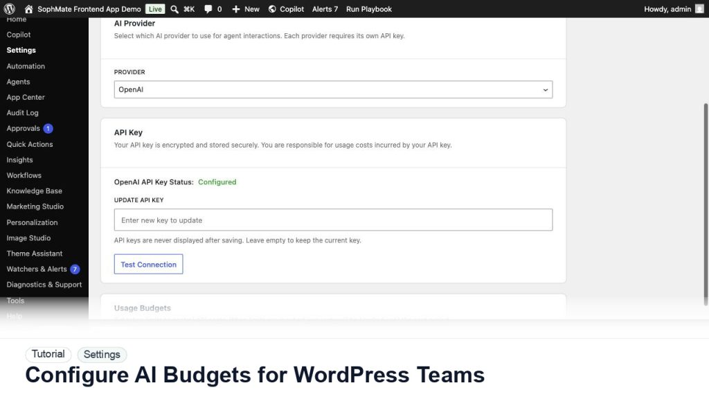 SophMate tutorial image for Configure AI Budgets for WordPress Teams showing the related wp-admin workflow context.