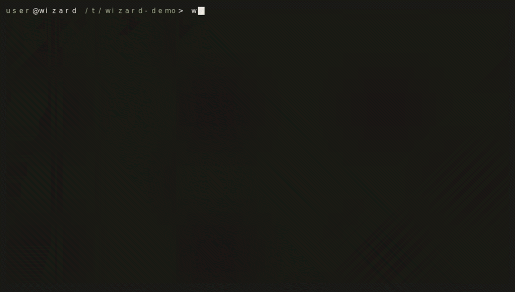 Wizard's first run: one screen, a pasted key, the TUI, a starter prompt answered