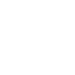 vibesight.ai