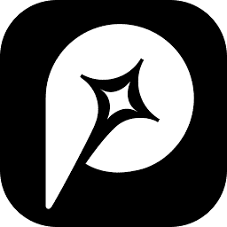 Promer AI logo