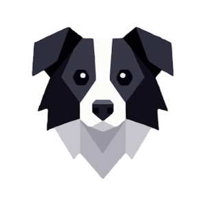 Collie