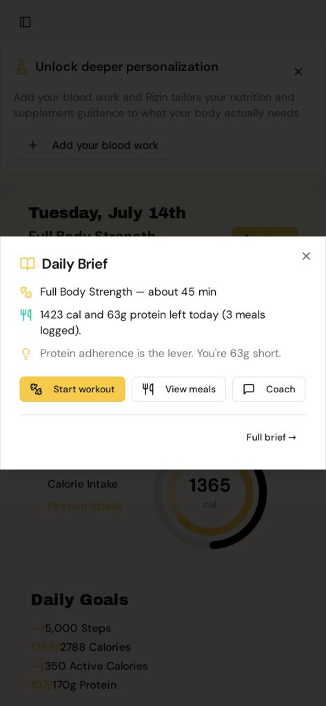 Rizin Daily Brief with personalized training, nutrition, and recovery focus