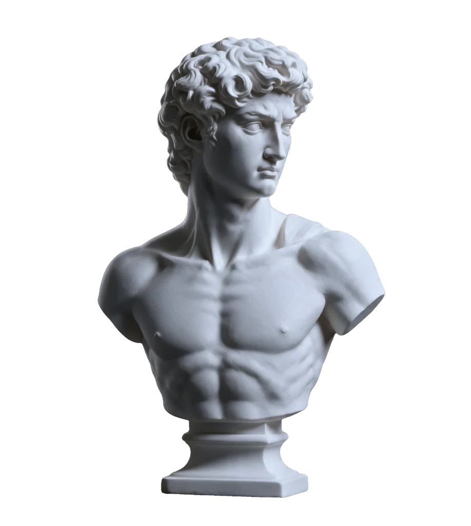 Marble David bust
