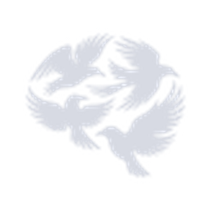 MindFlock