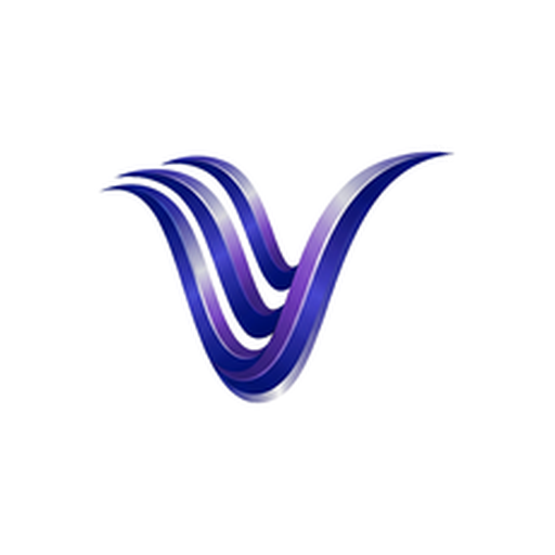Videm
